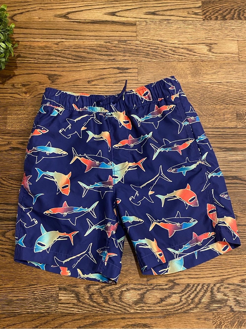 Gap Kids Navy Shark Swim Trunks Sz XL (12)